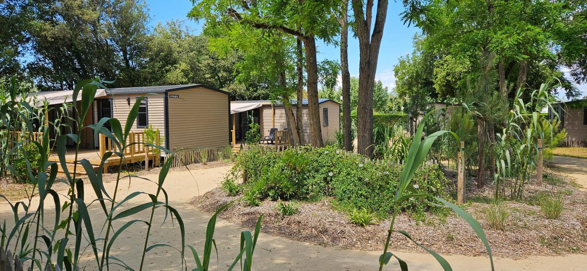 Camping Le Bois Verdon 圣让-德蒙 外观 照片