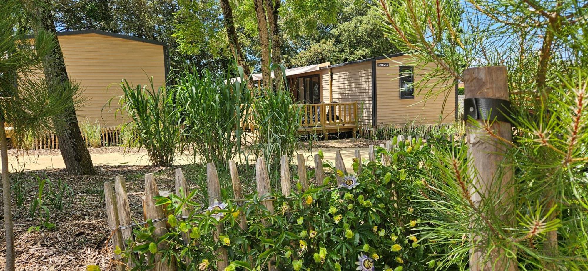 Camping Le Bois Verdon 圣让-德蒙 外观 照片