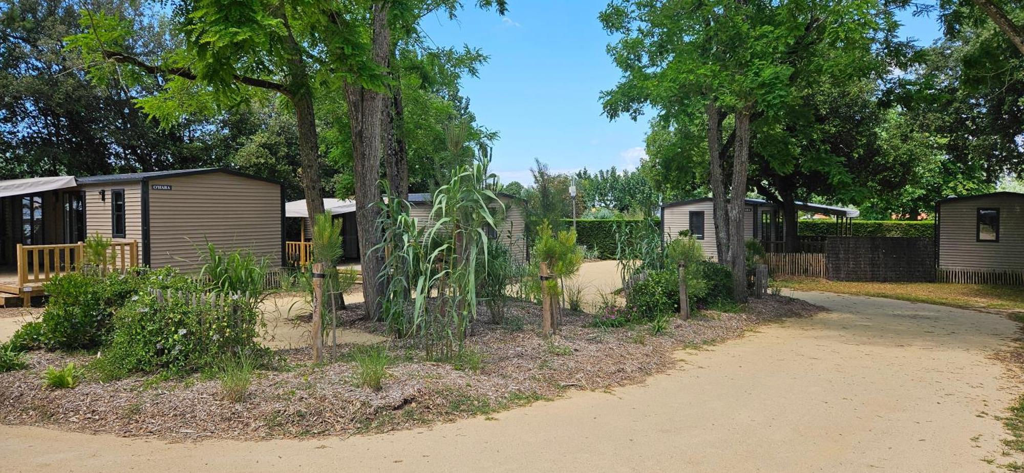 Camping Le Bois Verdon 圣让-德蒙 外观 照片