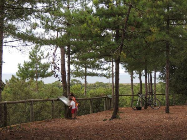 Camping Le Bois Verdon 圣让-德蒙 外观 照片